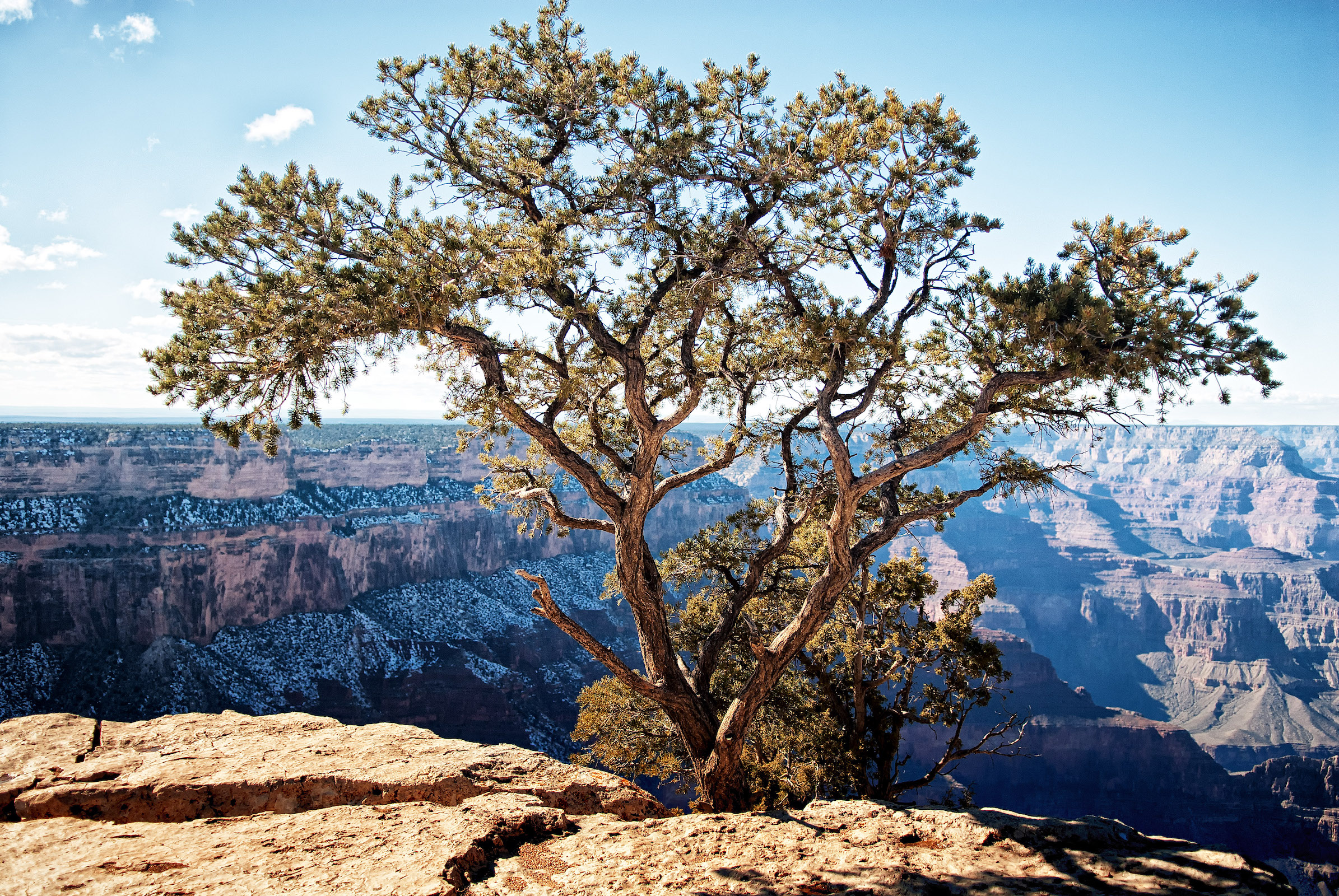 Lens-Artist Challenge #336 – Only One Picture