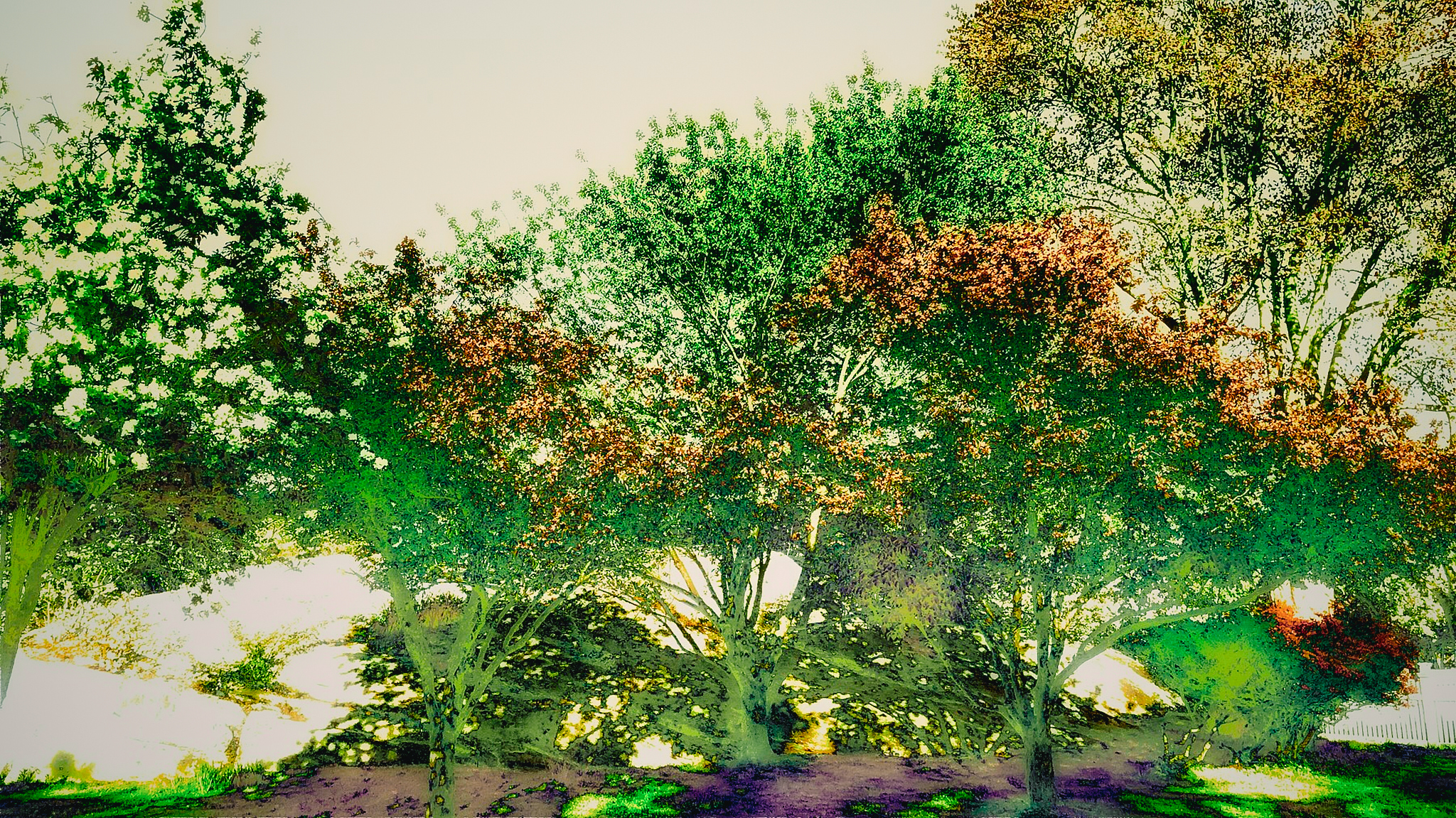 Explore Nature’s Beauty: Green Scenes from Winter to Summer