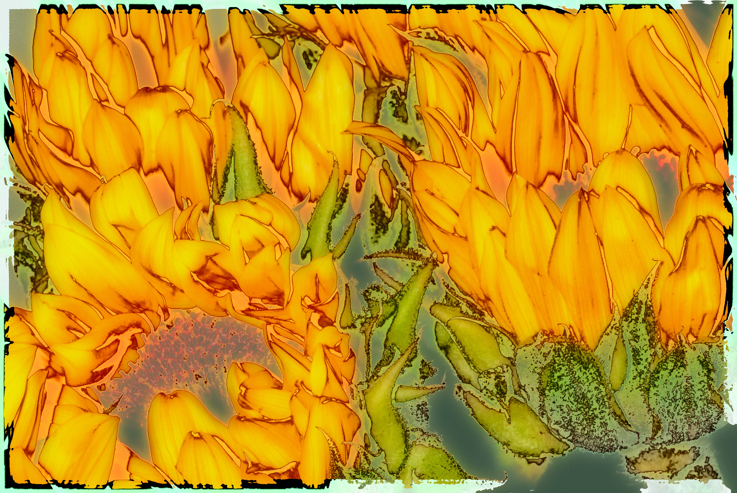 One Photo Four Ways – Sunflowers Week 2