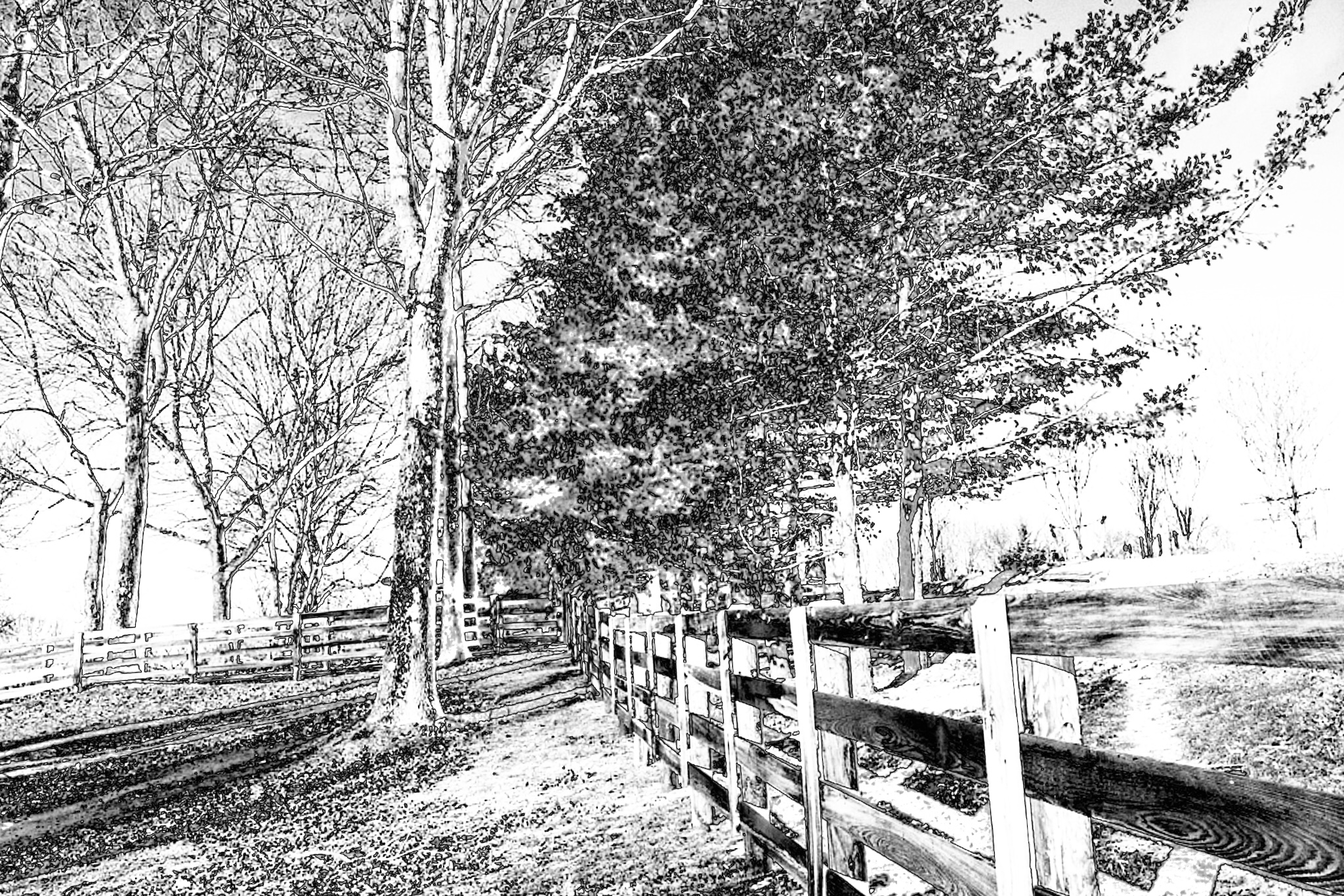 Fences – One Four Challenge Week 1