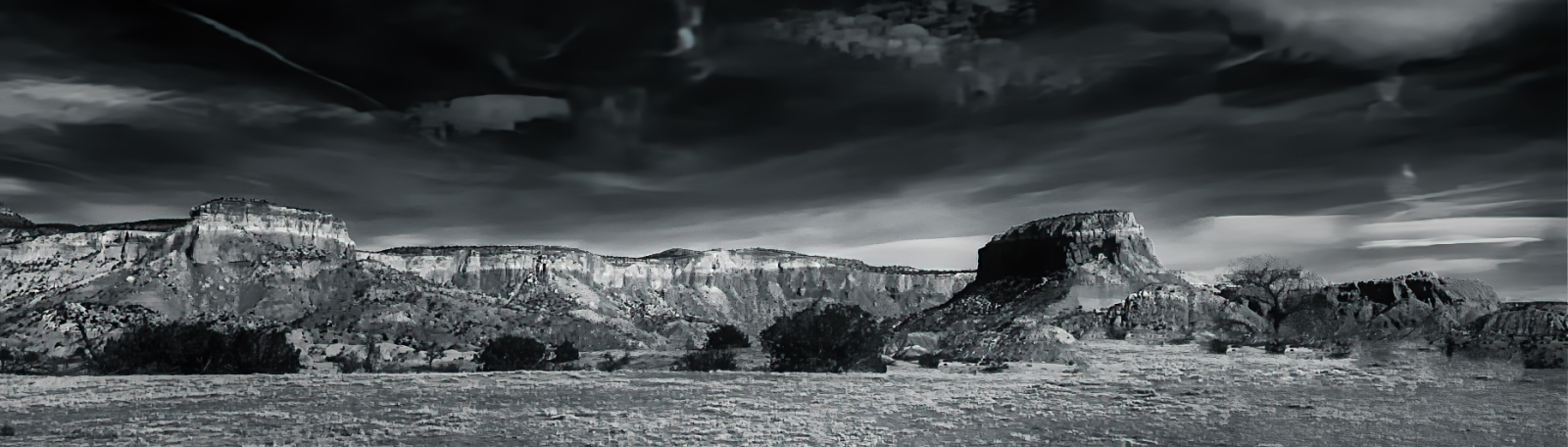 Lens-Artists Challenge for #342 – Wild