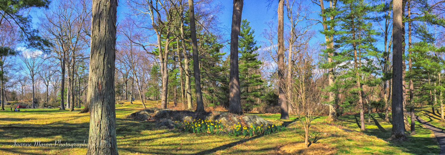 Spring Panorama