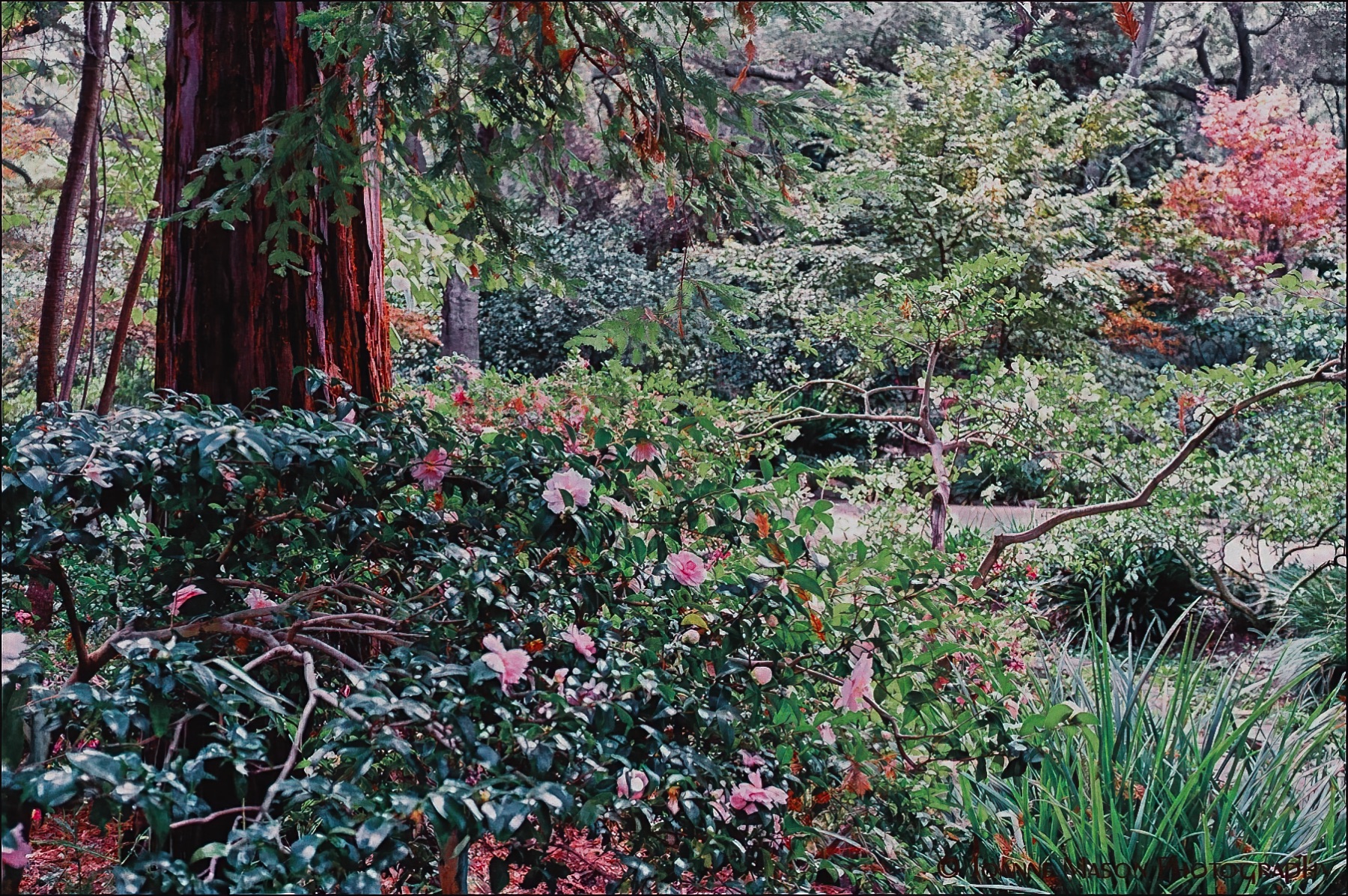 Lens-Artists Challenge #345 – My Go-To Places