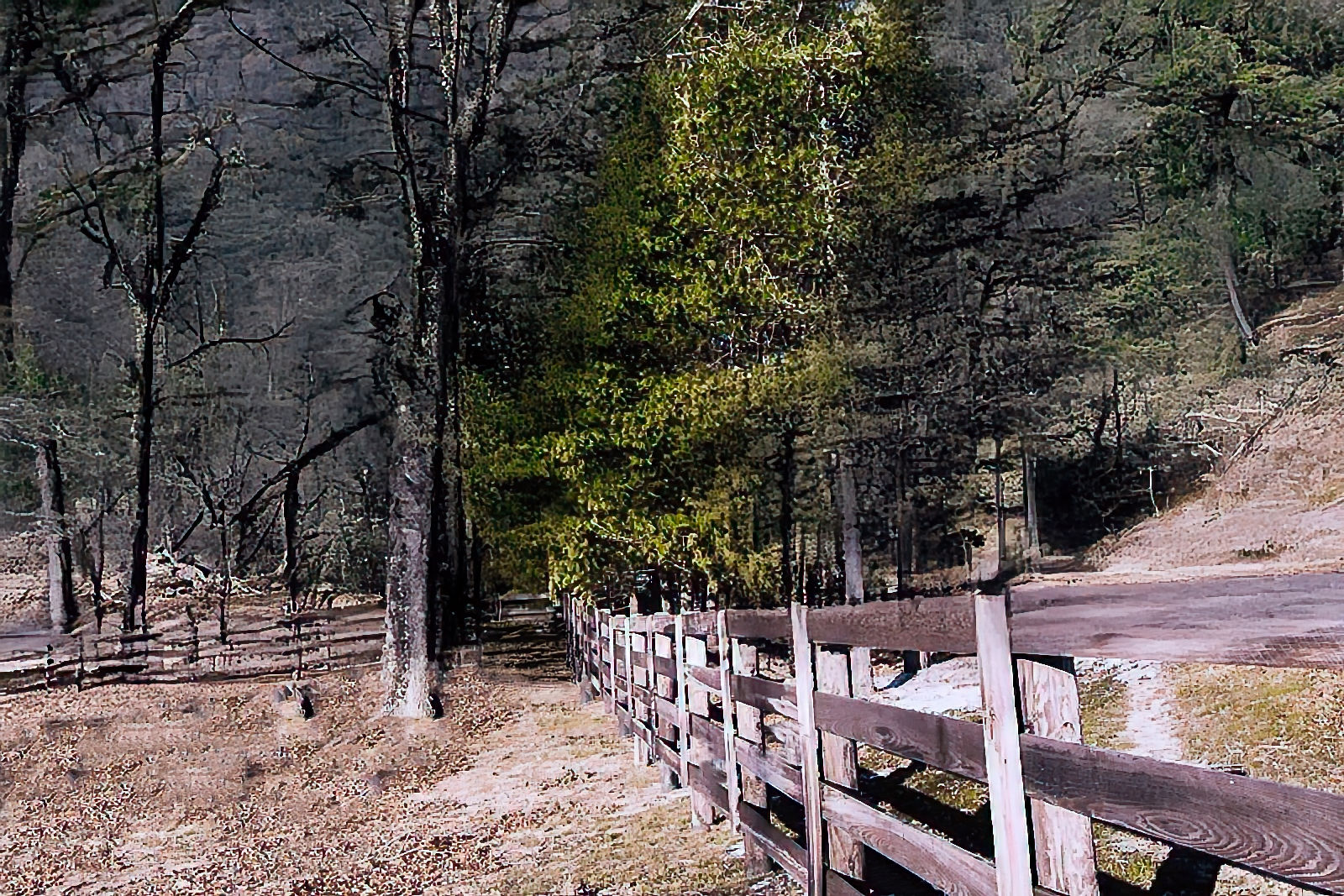 Fences – One Four Challenge Week 2