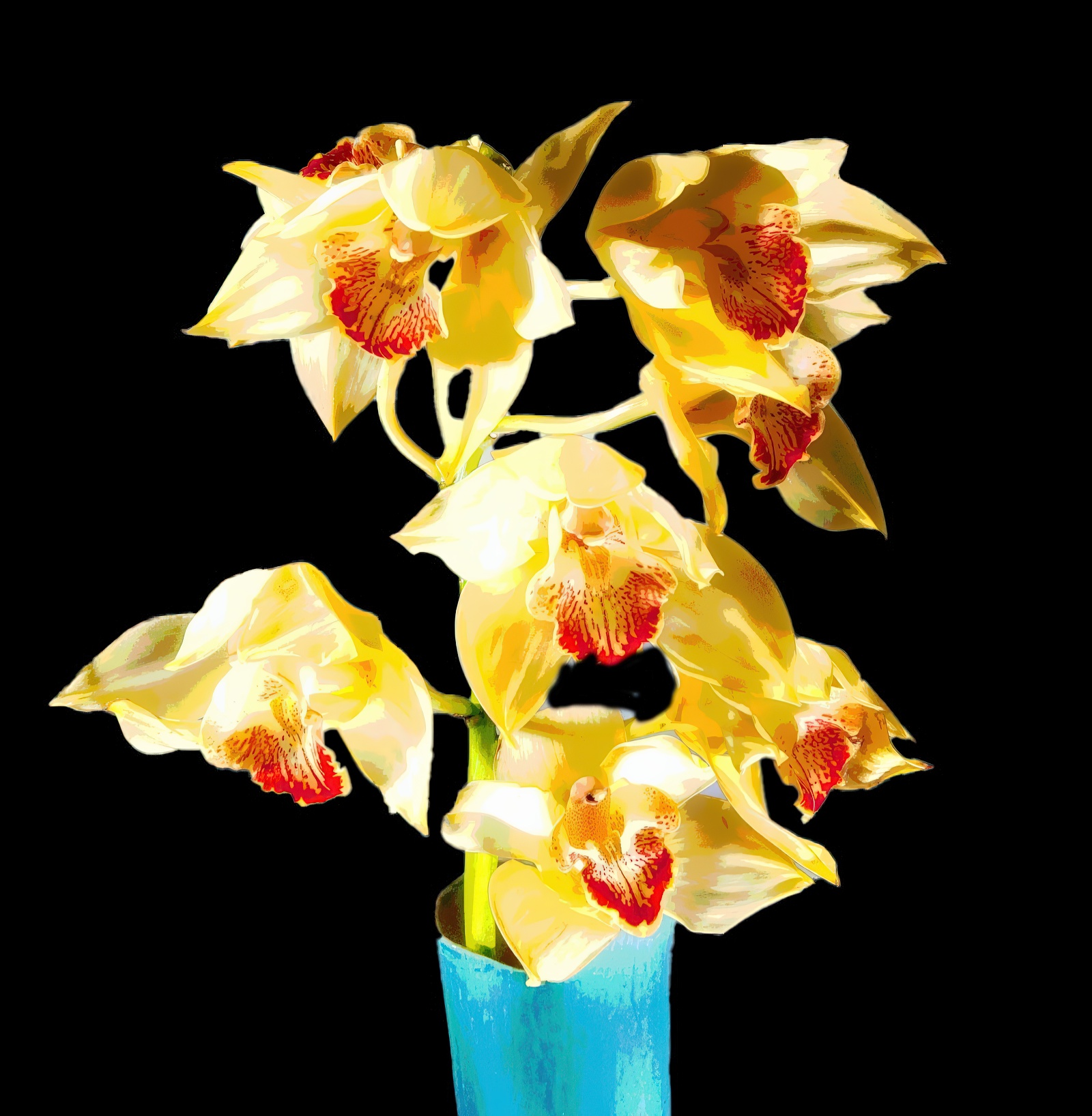 Friday Floral – Cymbidium Orchids