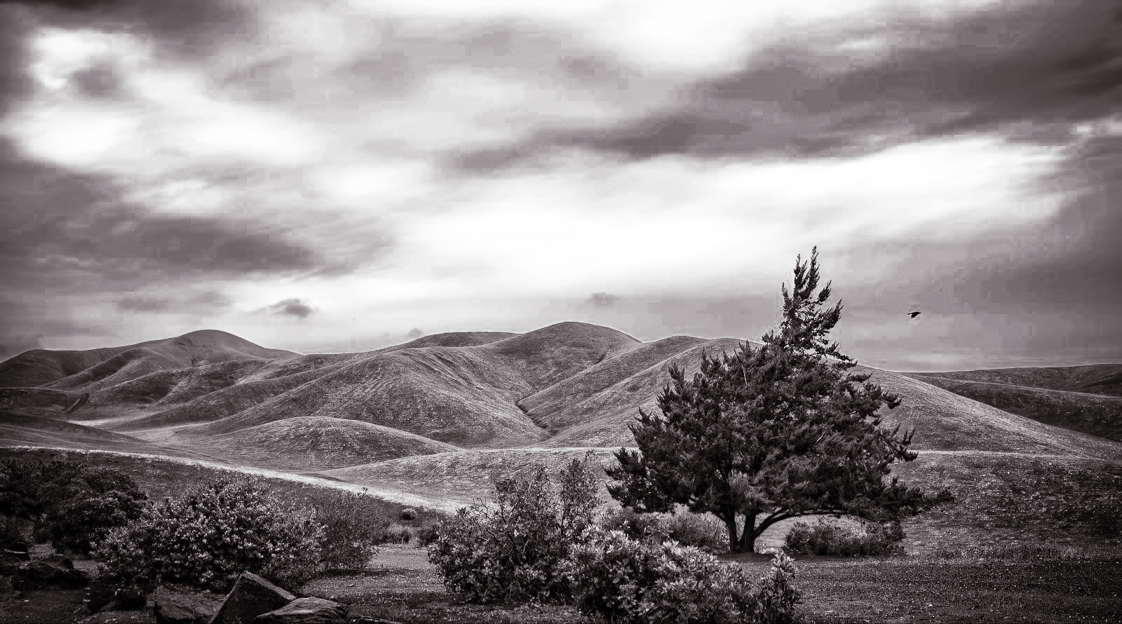 One Four Challenge Week 3 – Los Banos