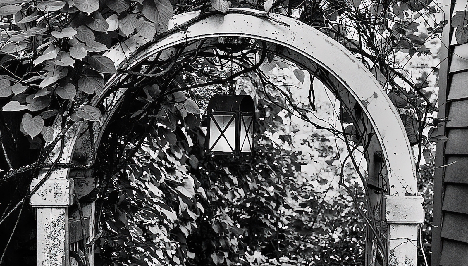 Monday Monochrome – Newport Garden Gate