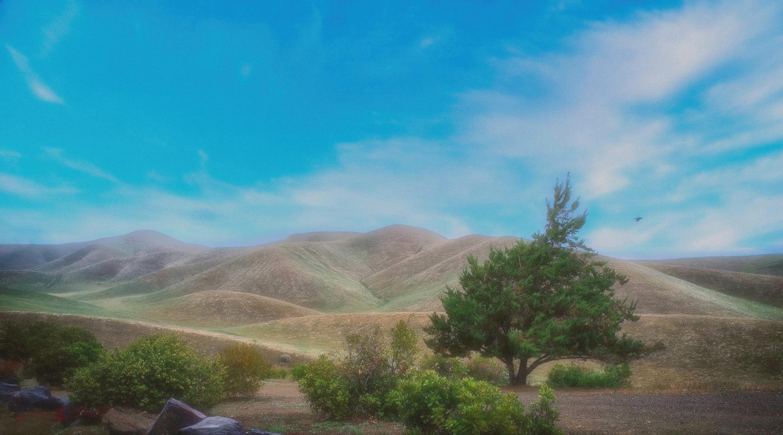 One Four Challenge Week 4 – Los Banos