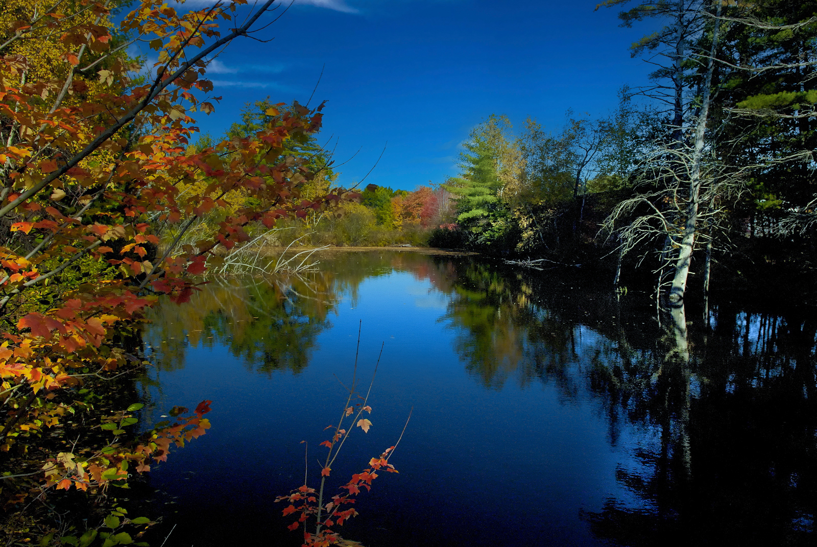 Lens Artists Challenge #348 – Serenity