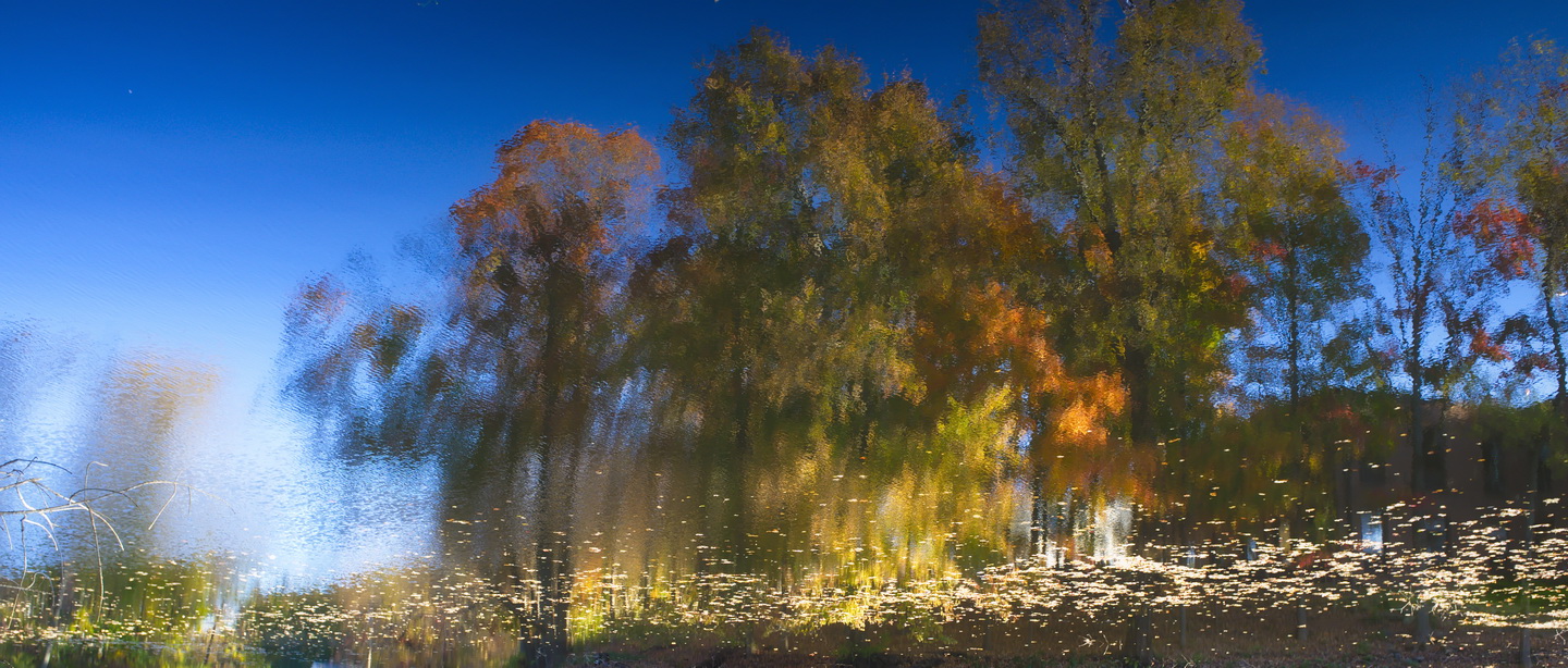 Lens Artists Challenge #354 – Reflections