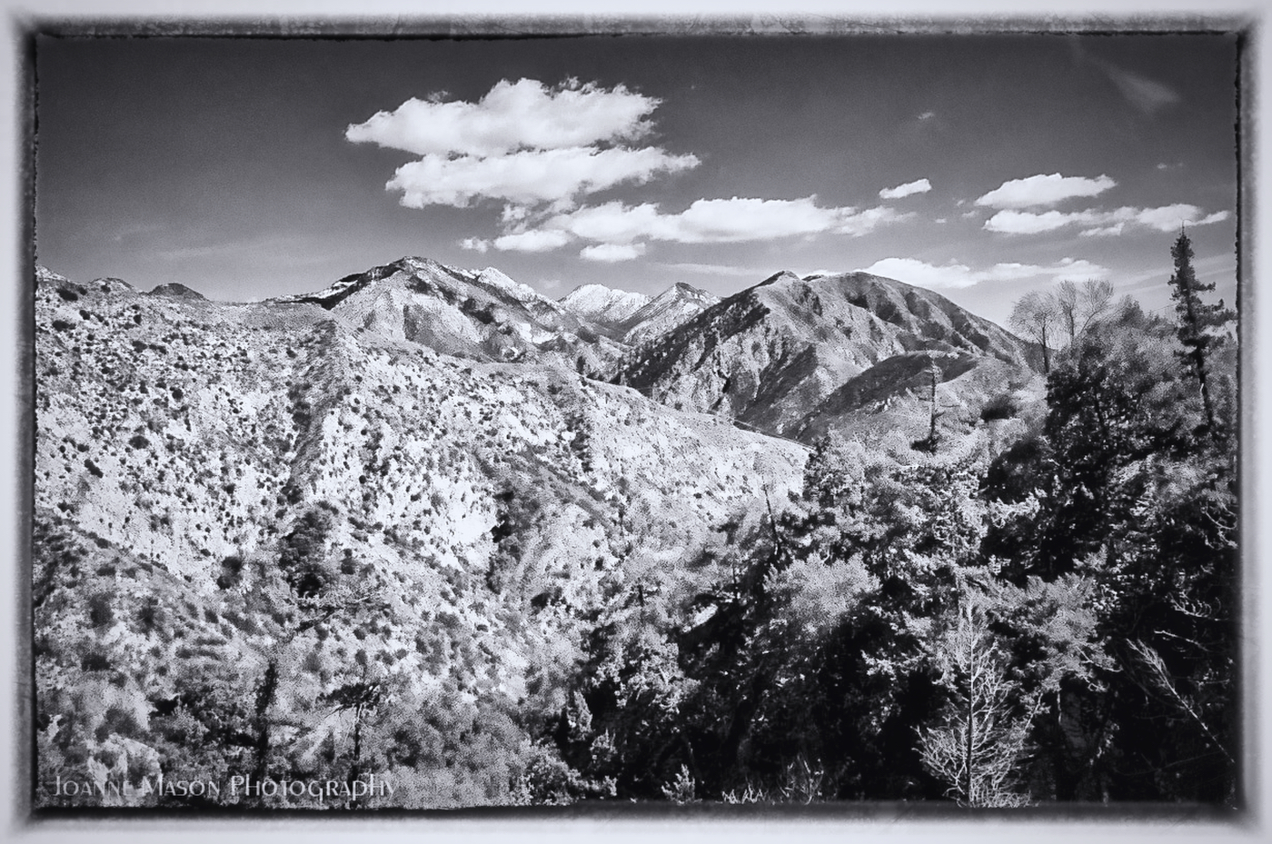 Monday Monochrome – High Country