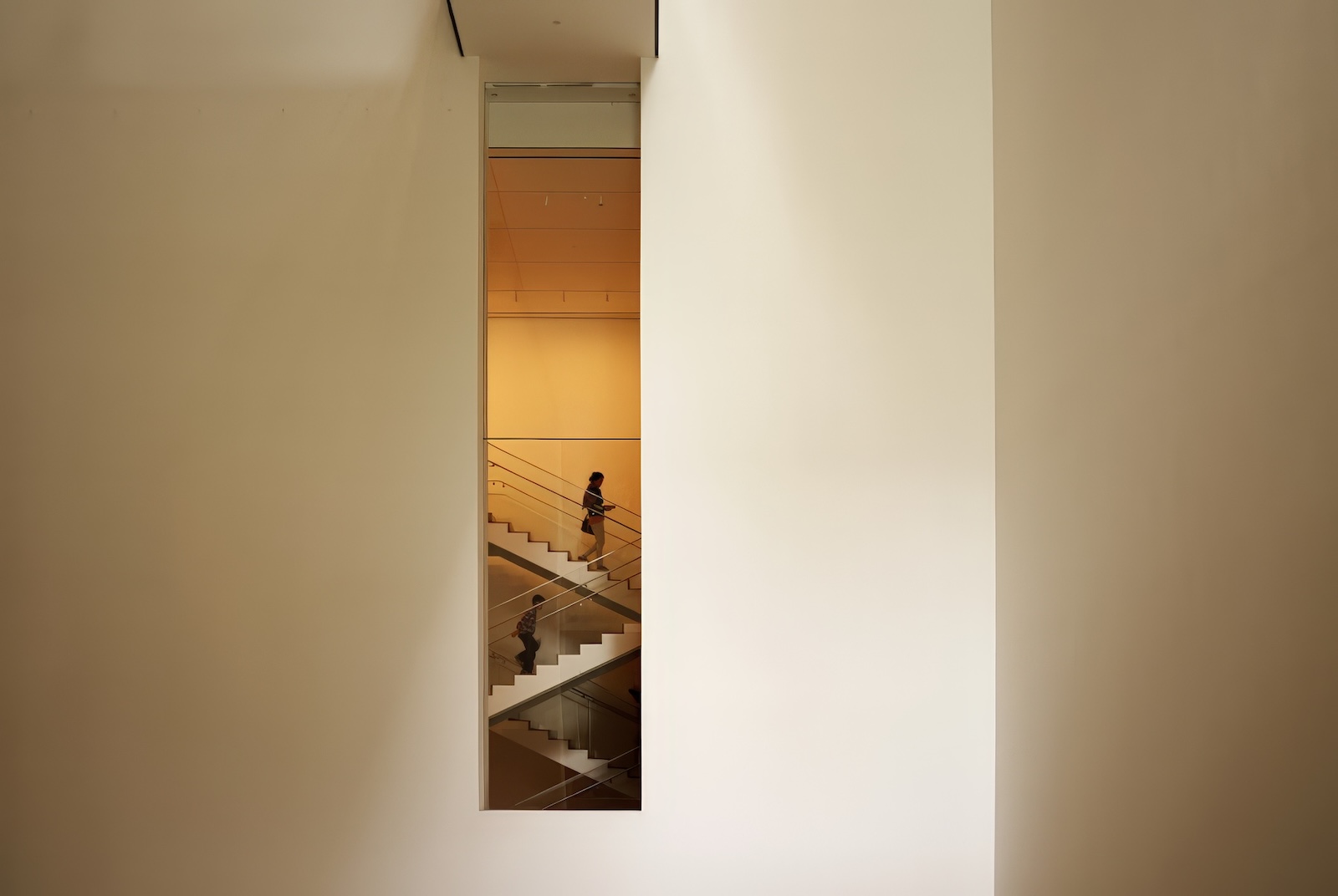 Lens Artists Challenge #359 – Tools of Composition: Lines and Patterns