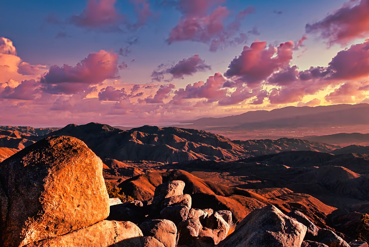 Lens Artists #367 – Everyone Should See This