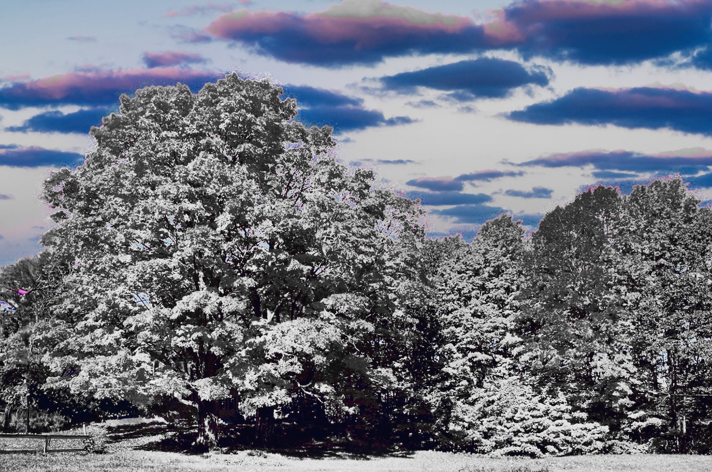 One Four Challenge: Autumn Scene – Variation 4