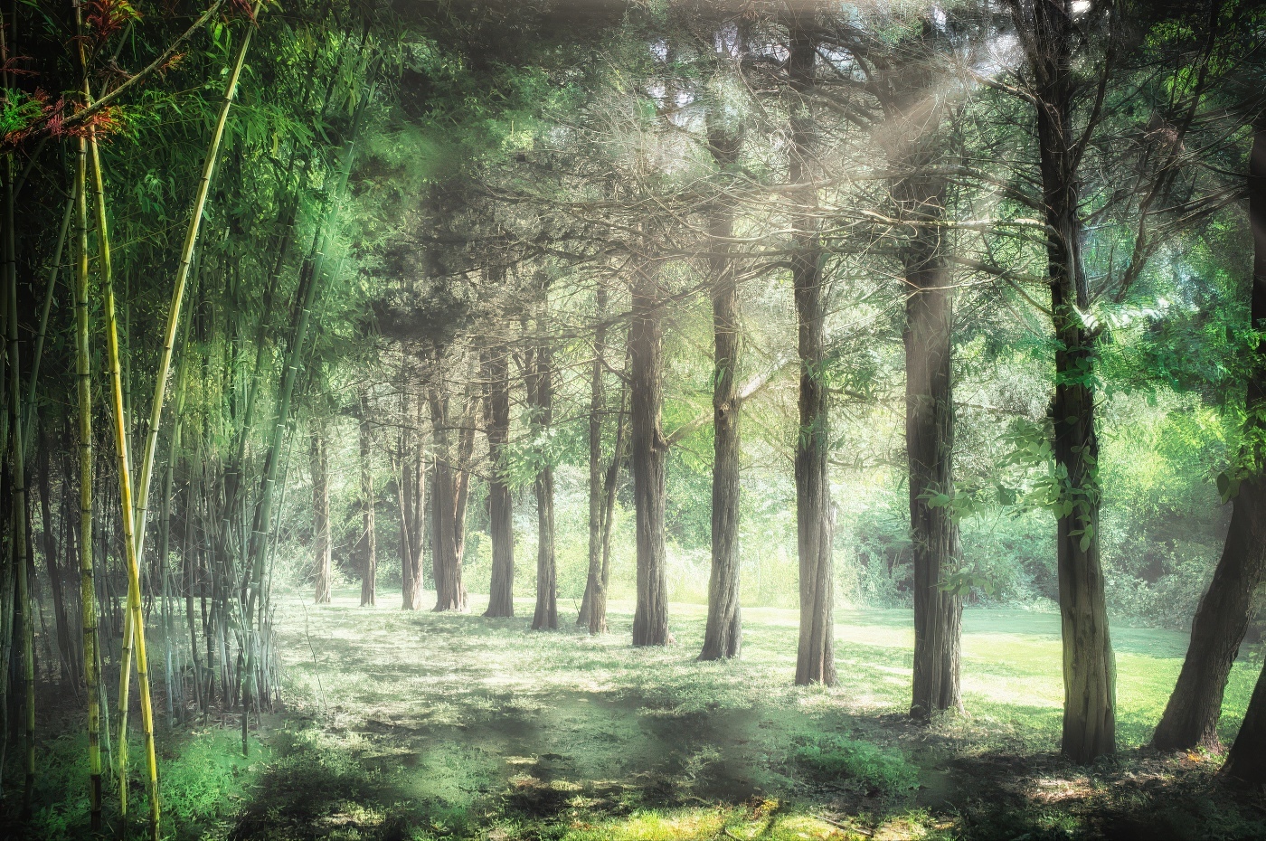 Lens Artists Challenge #369 – Dreamscapes