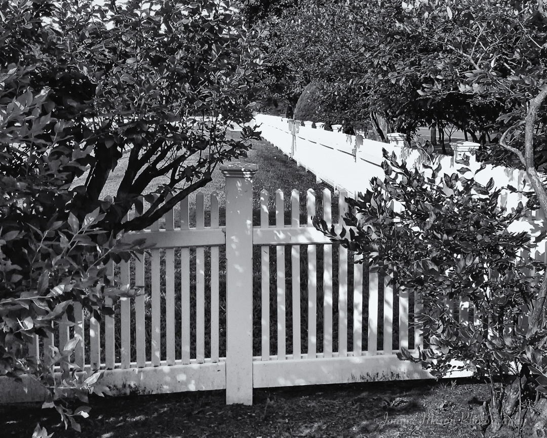 Monday Monochrome – White Fence