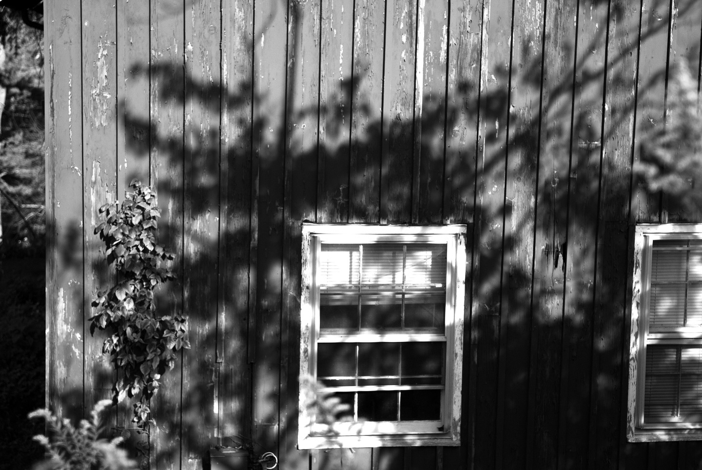 Monday Monochrome – Barn Windows