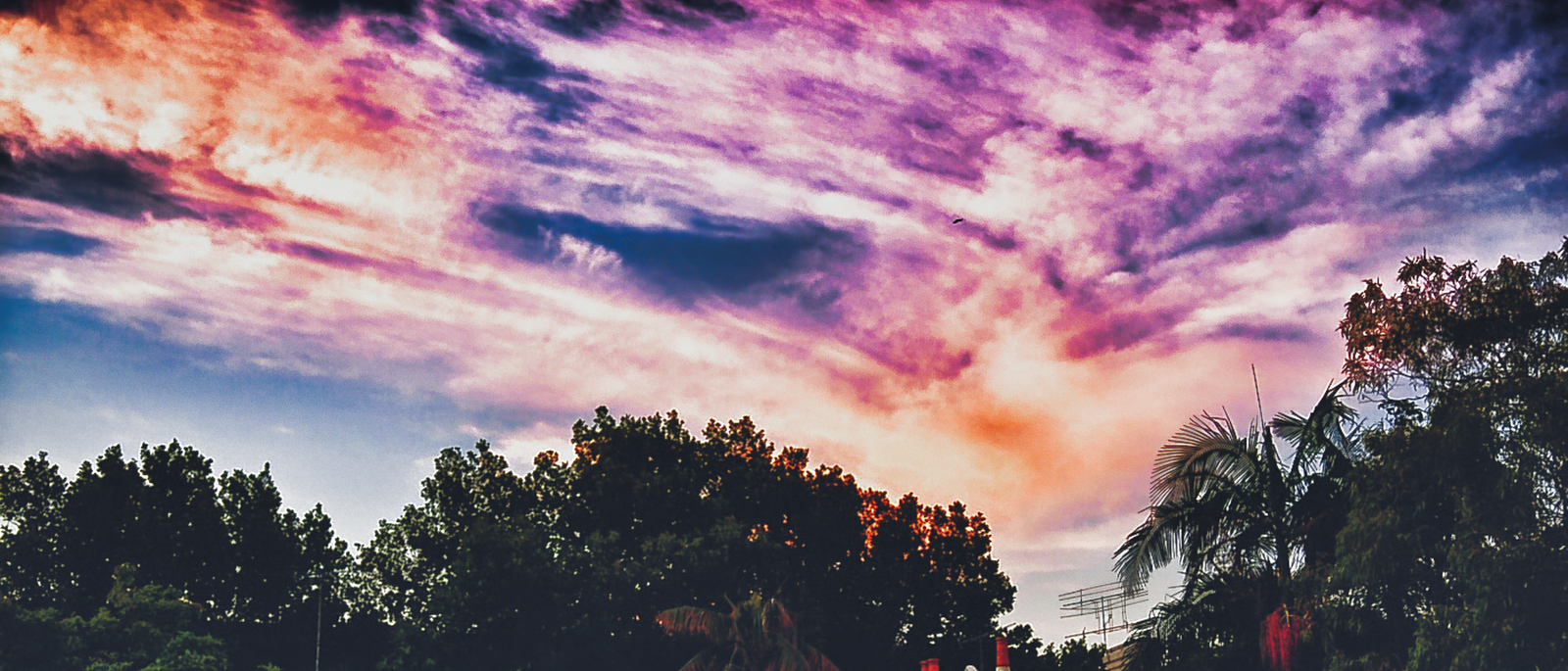 Lens Artists Challenge #372 – Ephemeral