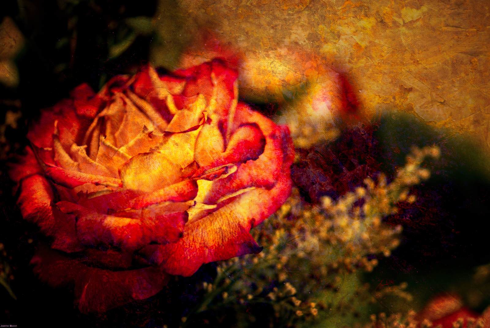 New Images #3 – Flower and Landscape Photographs