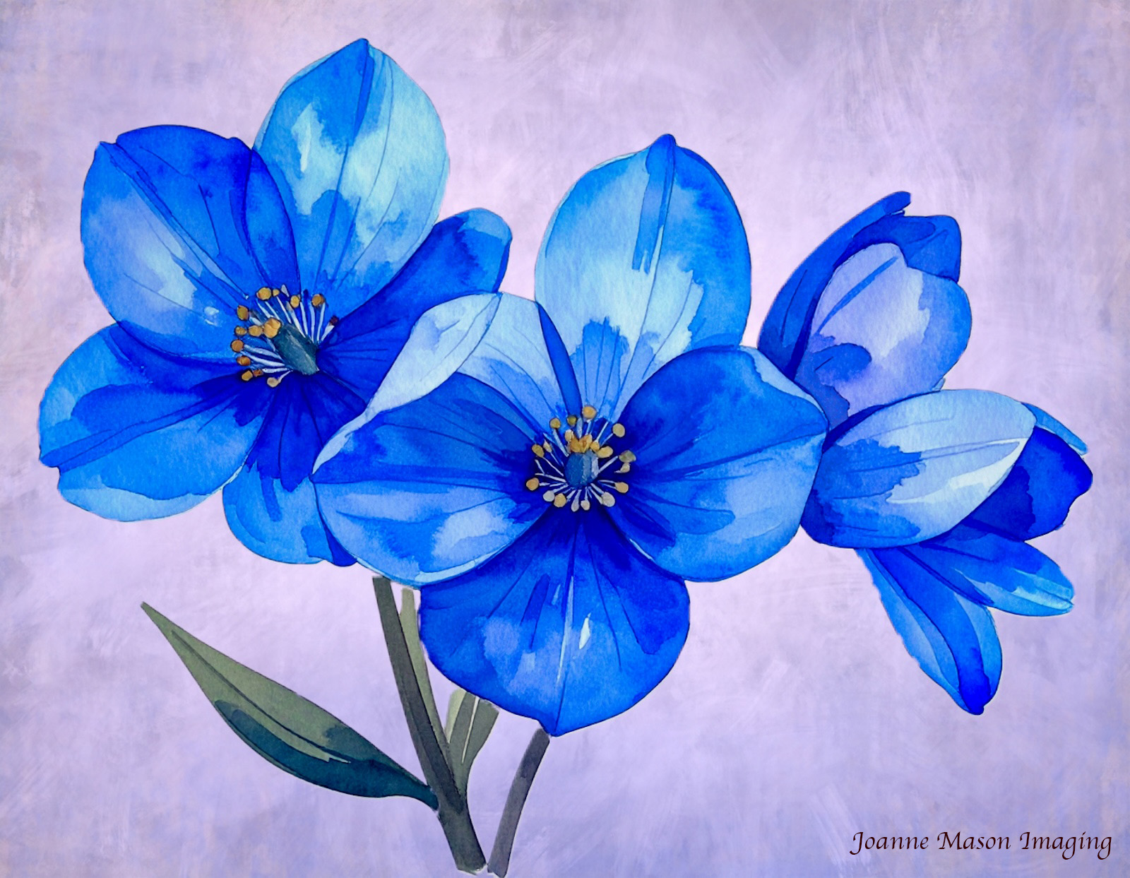 New Images #14: Blue Delphiniums