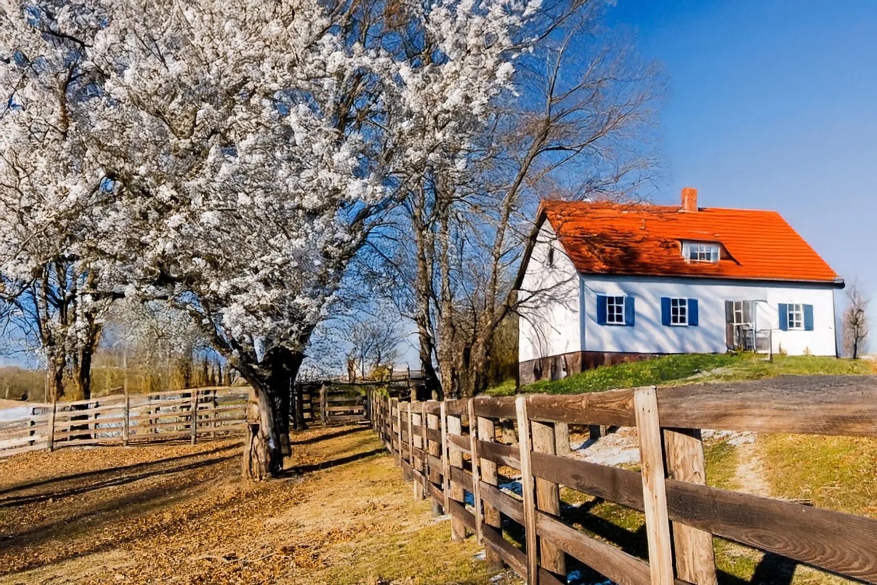 New Images #18 – Are  We Becoming More Comfortable With AI and Edited Images?