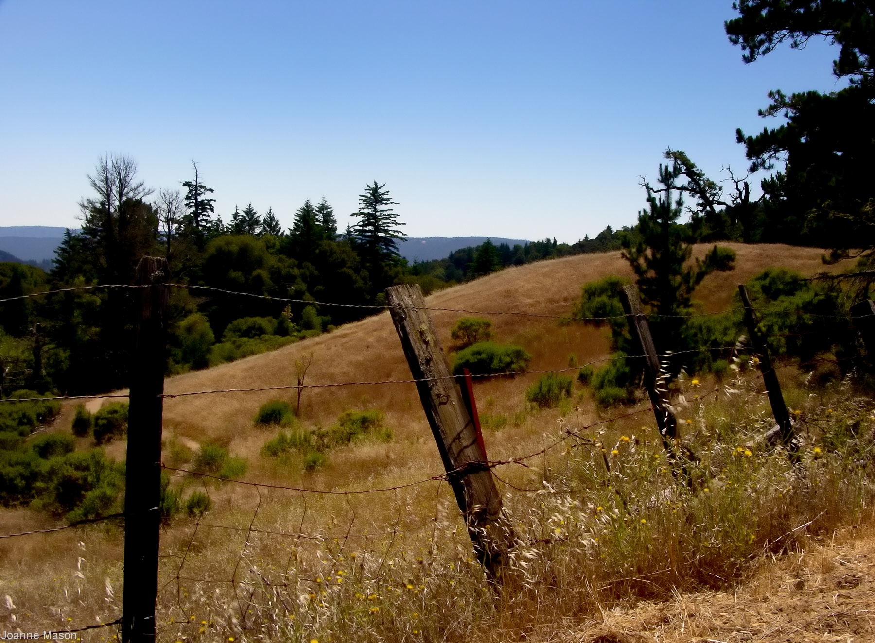 Lens Artists #392 – Framing Shots: Foreground, Middleground, Background