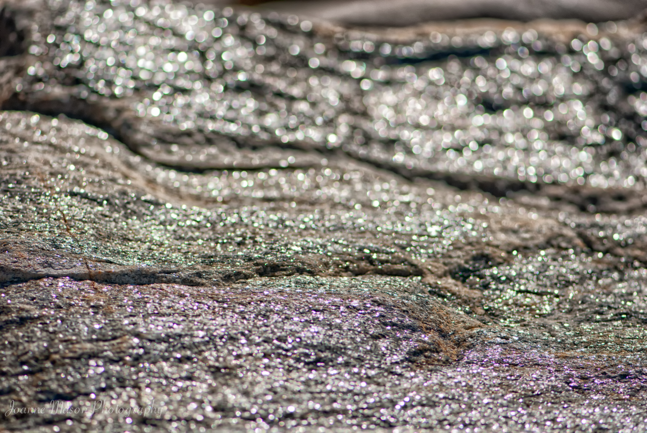 Lens Artists Challenge #397 – Texture