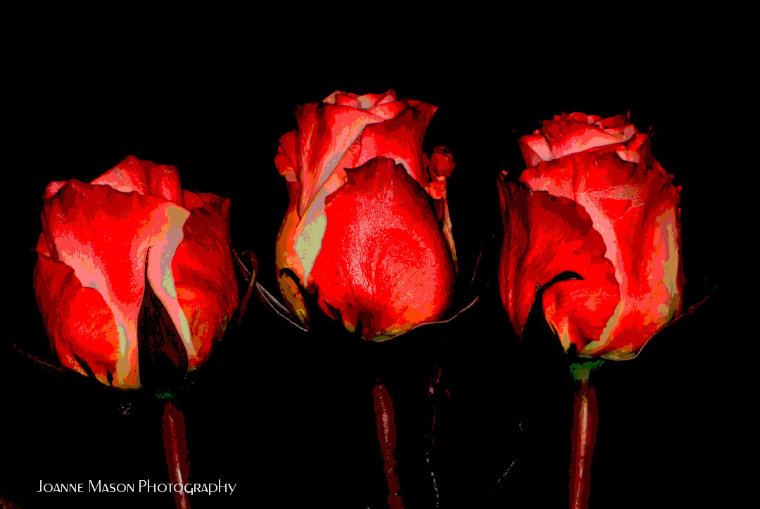 Lens Artists Challenge #400 – The Rule of Three