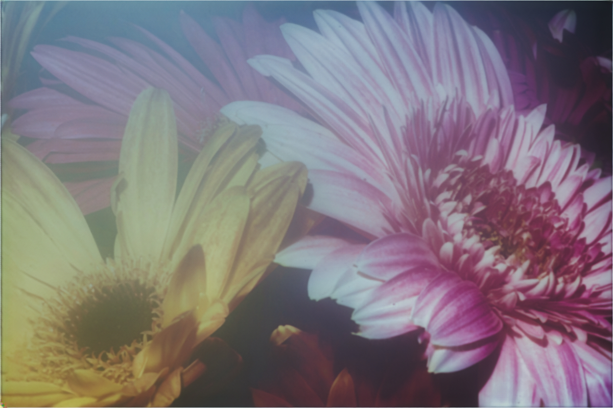 New Images #28