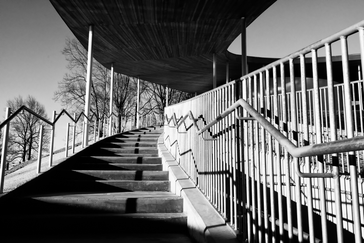 Lens Artists Challenge #401 – Focus on the Subject