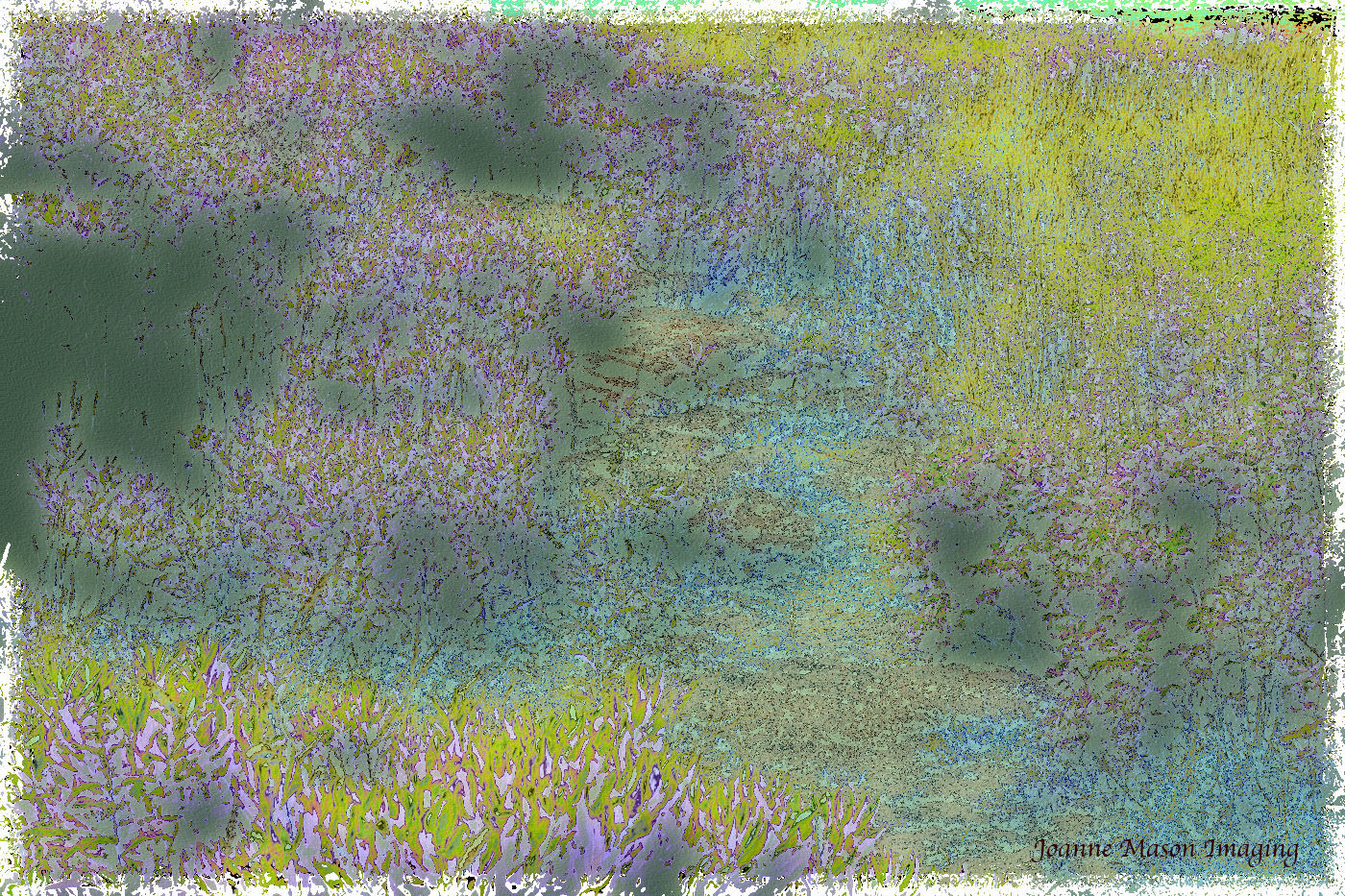 New Images #31: Flora