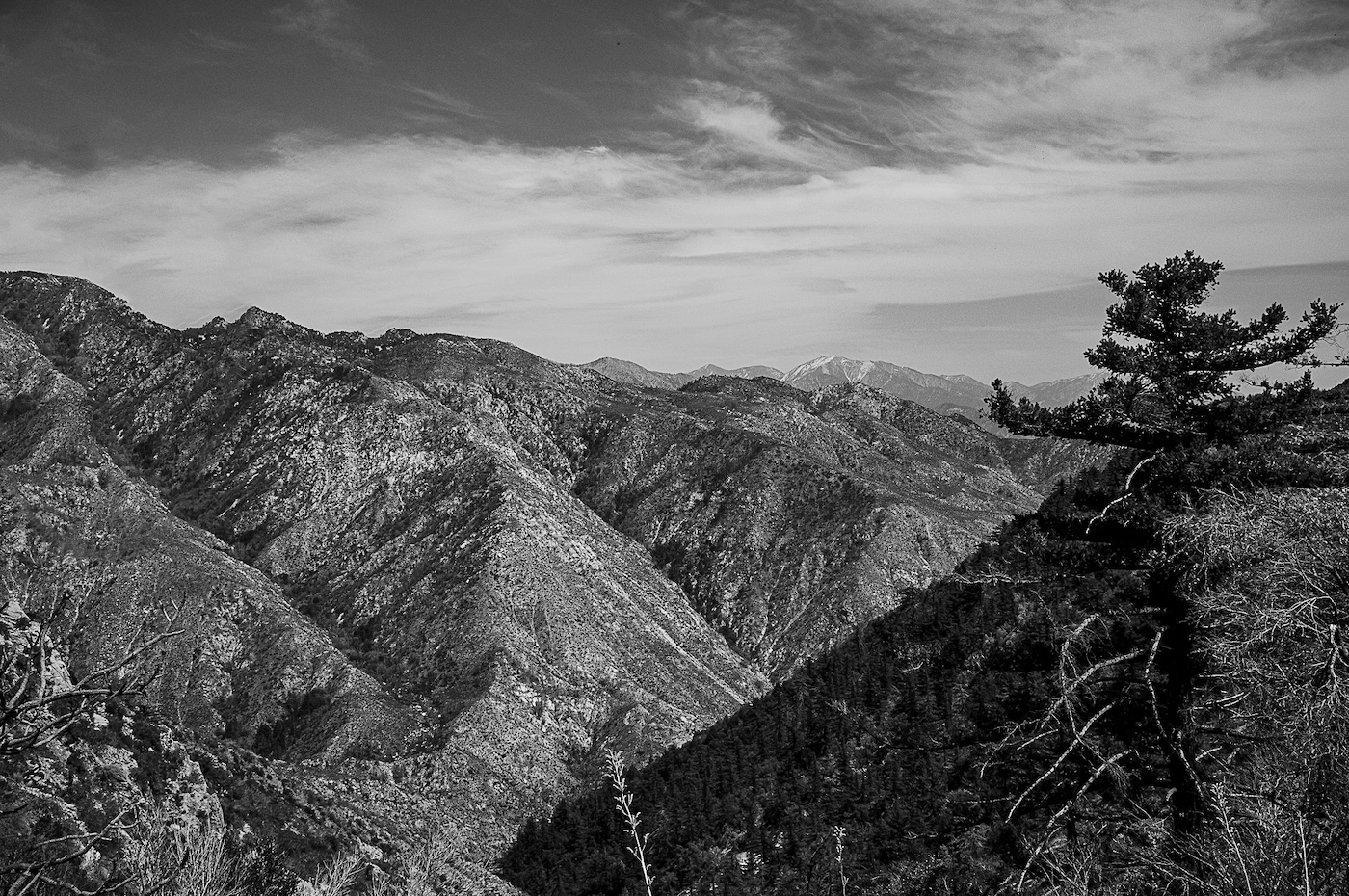 Monday Monochrome: The San Gabriels